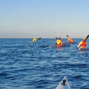 Curso surfski perfeccionamiento - Técnica & Control